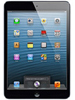 iPad Mini