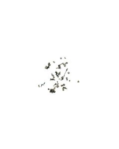 Official Apple iPhone 11 Pro Whole Screw Set