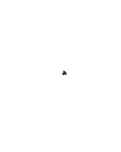 Genuine Sony Xperia 1, XZ2, XZ3 M1.2*1.2 Screw - (1 Piece) - 1310-1854