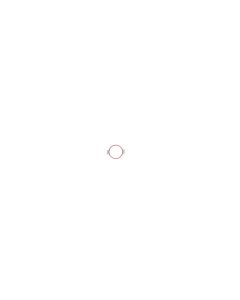 Official Google Pixel 6A 5G Camera Lens Cover - G806-06072-01