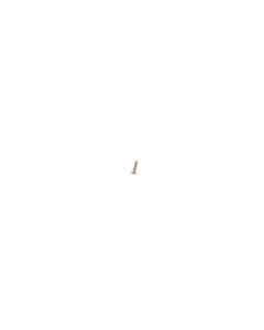 Official Huawei P40 Pro+ 5G ELS-N39 1.4mm X 4.5mm X2.5mm X 0.5mm Cross Screw - 51620BTN