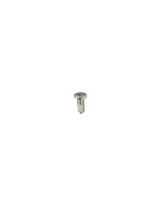 Genuine Samsung Galaxy S8, Galaxy S8+, Galaxy Note 8 Screw - 6001-003314