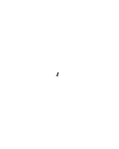 Official Huawei Y5P DRA-L29A 1.4mm X 3mm x 0.3mm Black Screw - 97070UFQ
