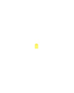 Official Google Pixel 4A, Pixel 4A 5G, Pixel 7a Mic Protect - G806-01368-01